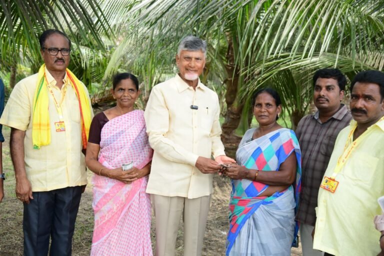 Pension CBN