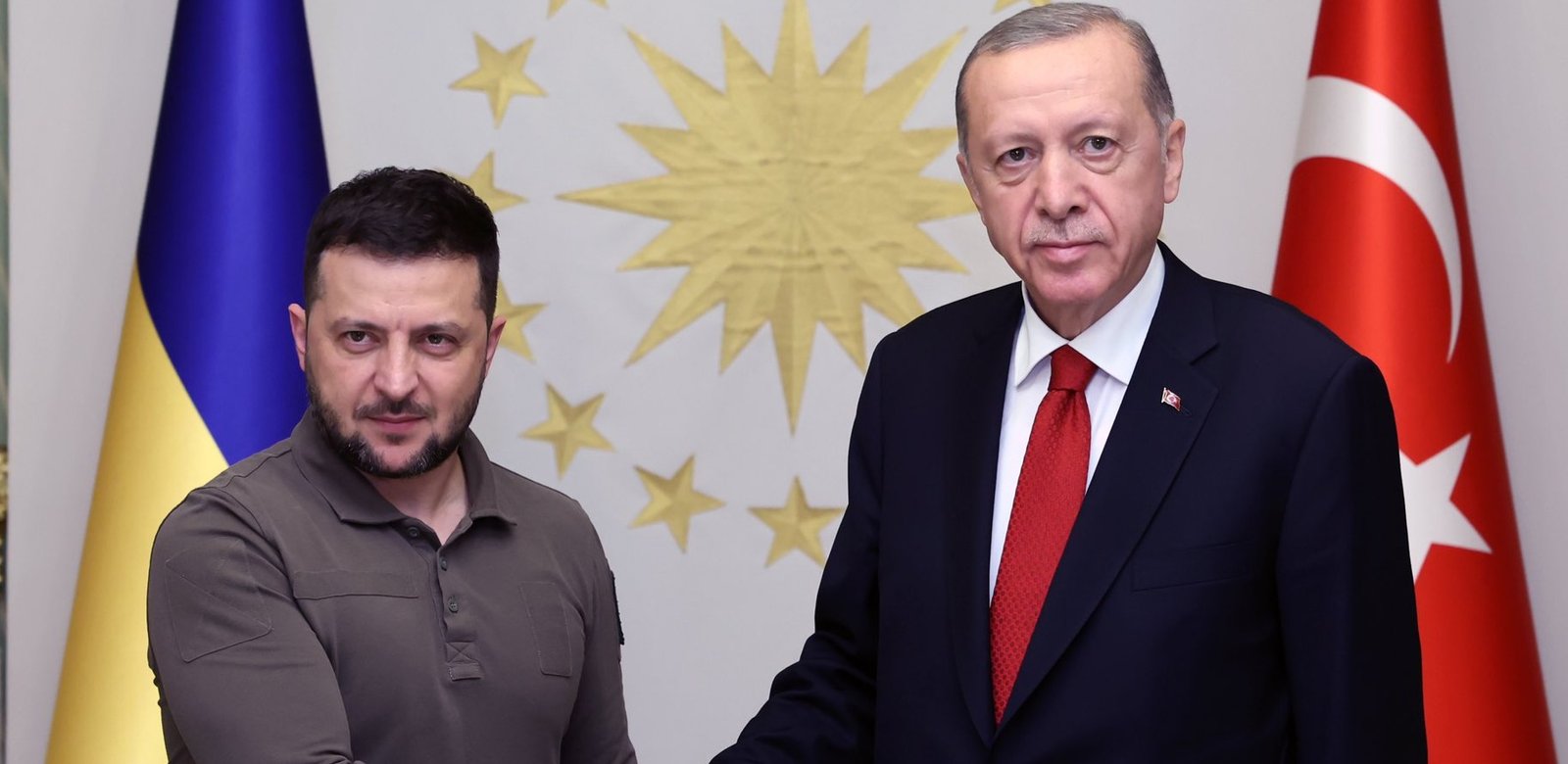 Erdogon and Zelensky