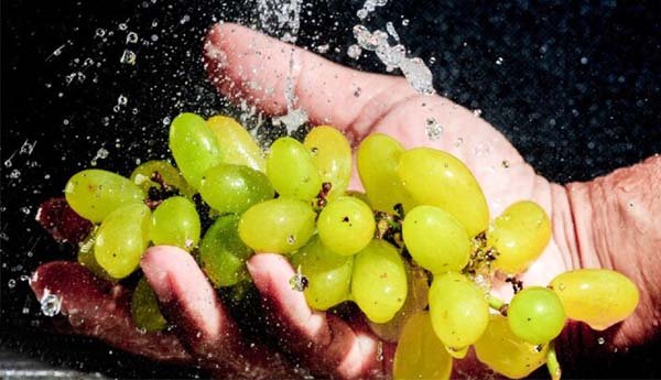 తినే ముందు ద్రాక్షను ఇలా కడగకపోతే ప్రమాదమే!