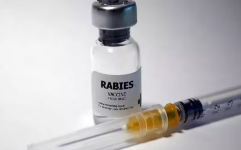 Rabies