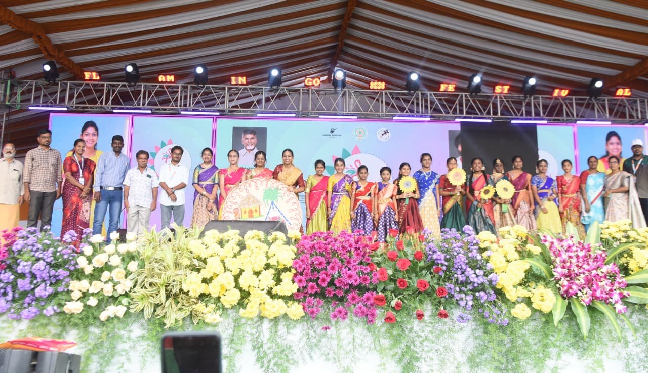 బీవీ పాలెం వద్ద ‘ఫ్లెమింగో’ కోలాహలం: పులికాట్ సరస్సులో పర్యాటకుల బోటు షికారు!