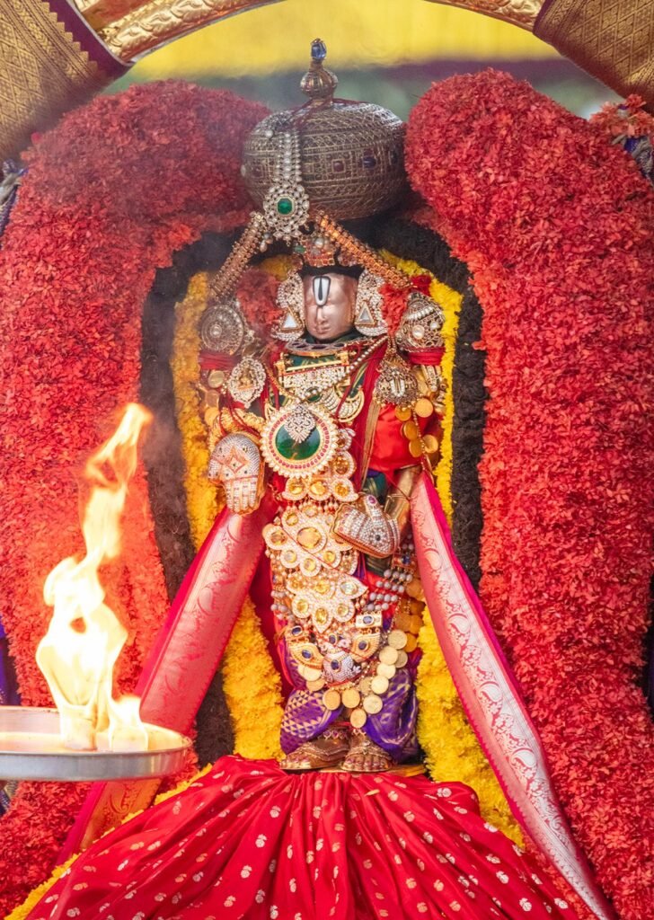 Rathasapthami Tirumala (17)