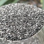 అధిక బరువుకు చెక్ పెట్టే చియా సీడ్స్