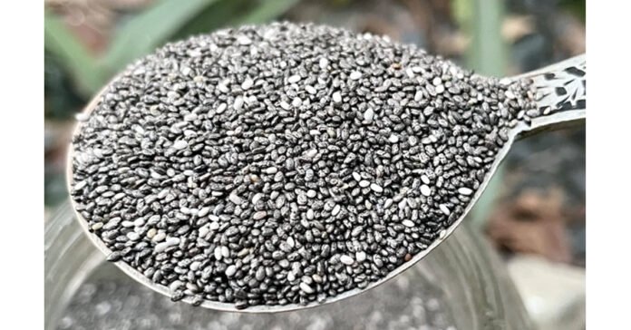 అధిక బరువుకు చెక్ పెట్టే చియా సీడ్స్
