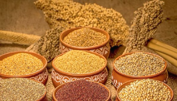 శీతాకాలపు సూపర్ ఫుడ్స్: తృణధాన్యాలు