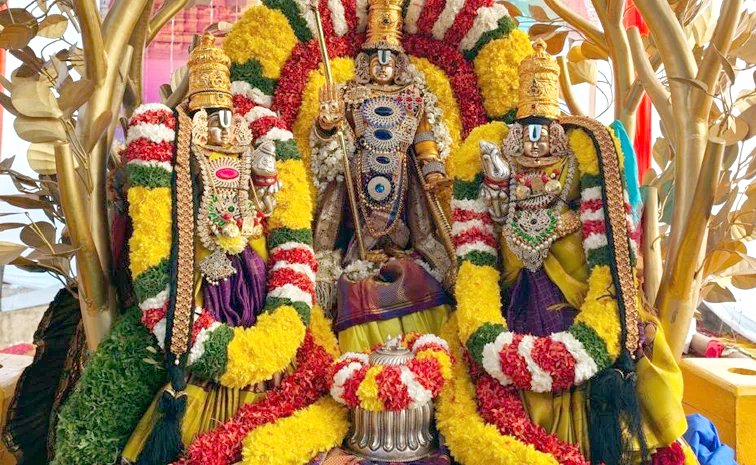 కల్పవృక్ష వాహనంపై శ్రీ మలయప్ప దర్శనం!