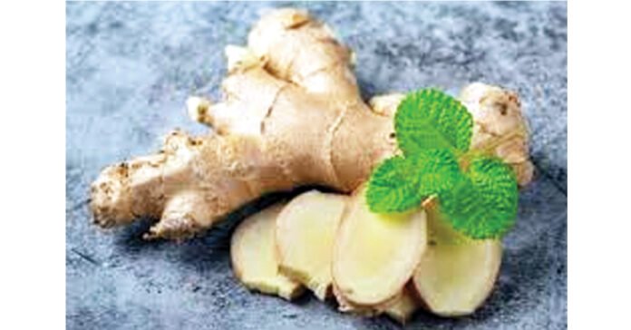 రోగనిరోధక శక్తిని పెంచే అద్భుత ఔషధం 'అల్లం'.. 