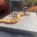 మెల్‌బోర్న్‌లో మహాత్మా గాంధీ కాంస్య విగ్రహం చోరీ.. పాదాల వద్ద కత్తిరించి ఎత్తుకెళ్లిన దుండగులు!