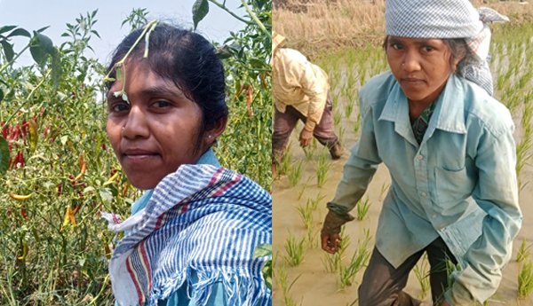 కలుపు తీసిన చేతులే కలం పట్టాయి.. కూలీ బిడ్డ నుంచి సెక్రటేరియట్ అధికారిణిగా విజయలక్ష్మి స్ఫూర్తిగాథ!