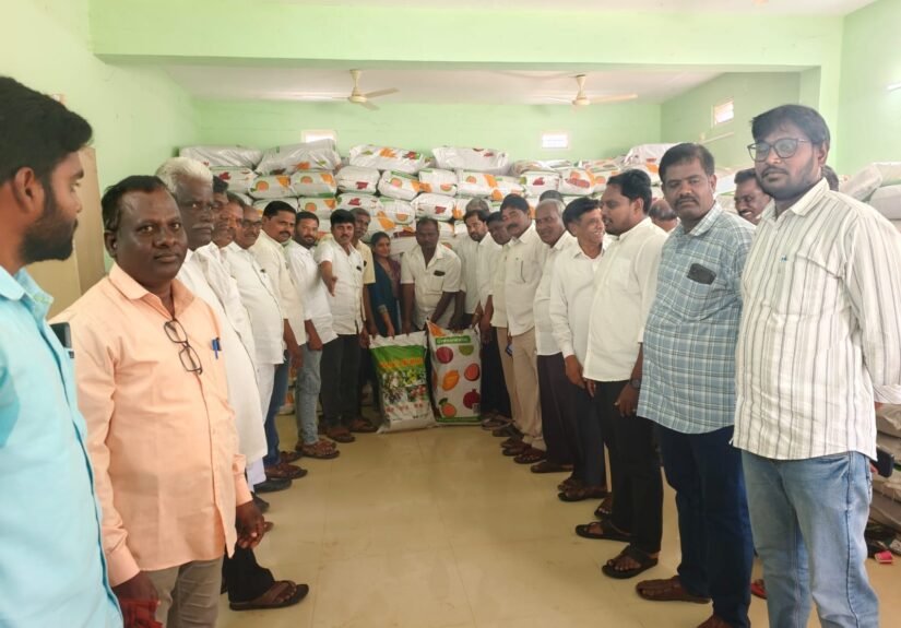 మామిడి రైతులకు వరం.. 50 శాతం రాయితీతో..