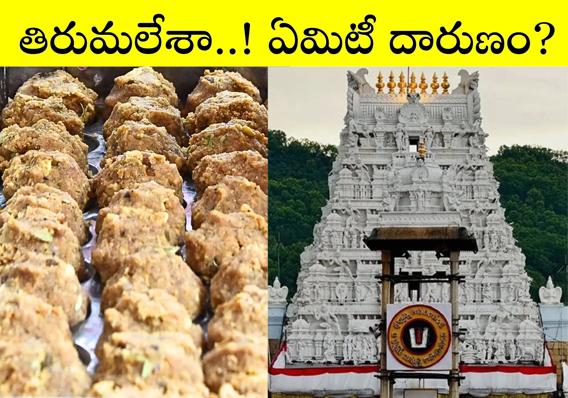 Tirumala Laddu contravercy