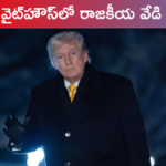 White house politics