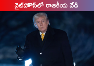 White house politics