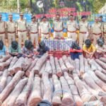 కర్ణాటక కోళ్ల ఫారంలో టాస్క్ ఫోర్స్ మెరుపు దాడి