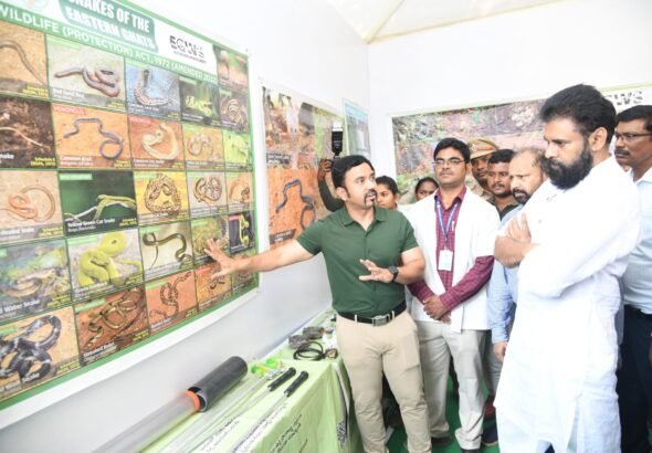 ప్రకృతి సమతుల్యతకు ‘హనుమాన్’ రక్ష