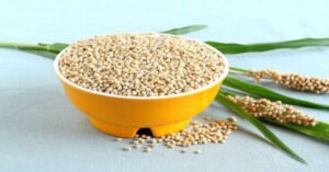 ఆరోగ్య ప్రదాయిని జొన్నలు