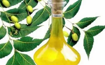 NEEM OIL