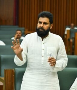 కొత్త జిల్లాల ప్రాతిపదికనే జడ్పీ ఎన్నికలు: డిప్యూటీ సీఎం పవన్ కళ్యాణ్