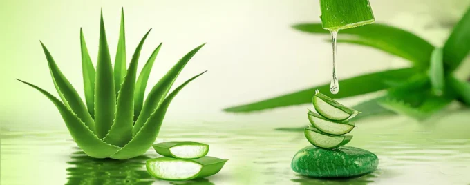 ALOE VERA