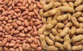 GROUND NUTS