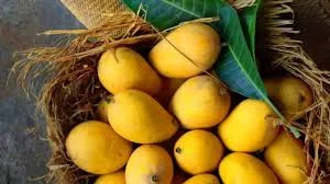 MANGOES