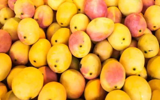 MANGOES