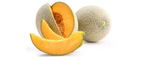 MUSKMELON