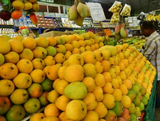 Mangos Export