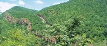 NALLAMALA FORESTS