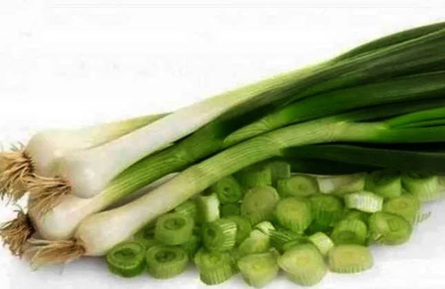 ONINON STEMS
