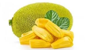 PANASA PANDU